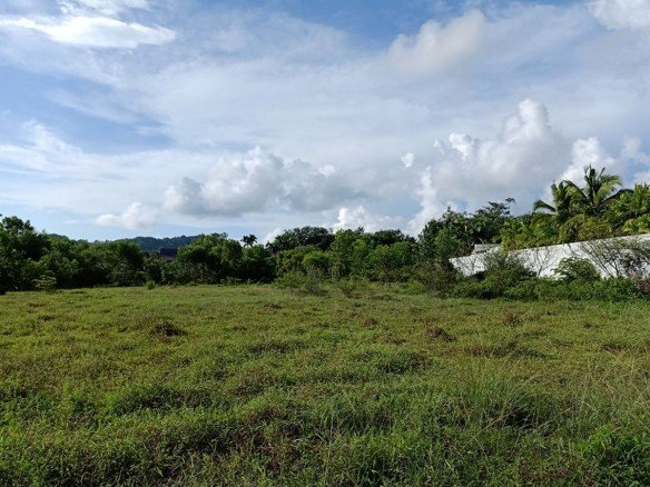 Beautiful Land for Sale in Layan -L003